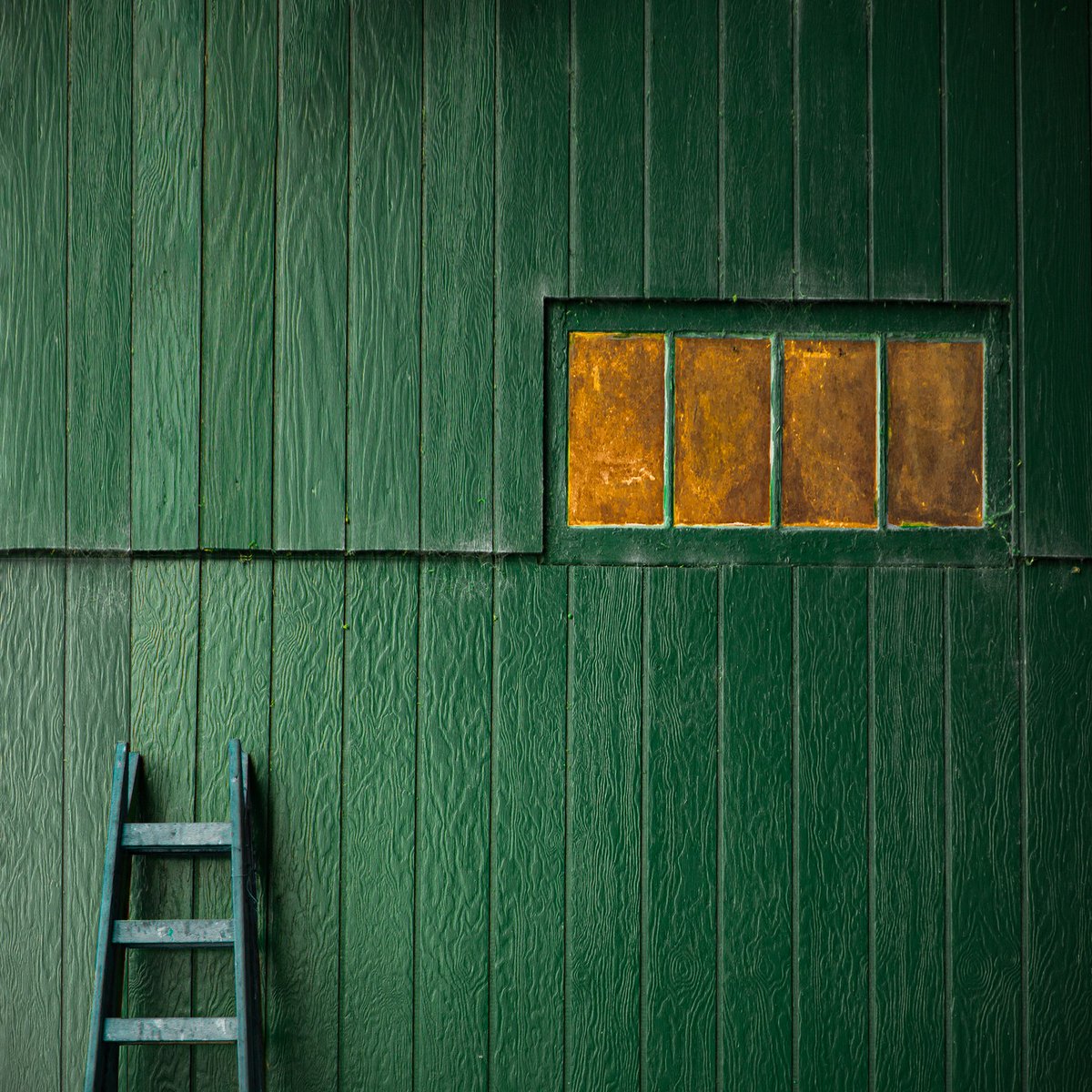 By Inge Schuster