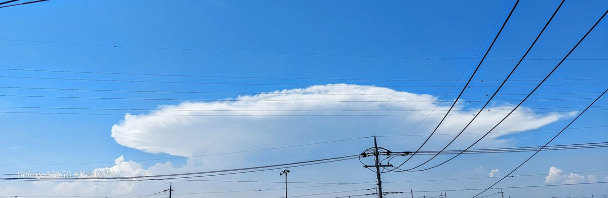 yumeasutw's tweet photo. 何て見事な #かなとこ雲 👀❗
🌡️猛烈な暑さの昼下がり✨☀️✨
北西の彼方で発達する #積乱雲 ⛈️
かなとこ雲が巨大です。
#イマソラ #いまそら
#空の名前
#天気の図鑑 #雲の超図鑑 #雲友の会
#a2023 #a0729 #a202307 #a2023074 https://t.co/Ji8ES6Myiq
