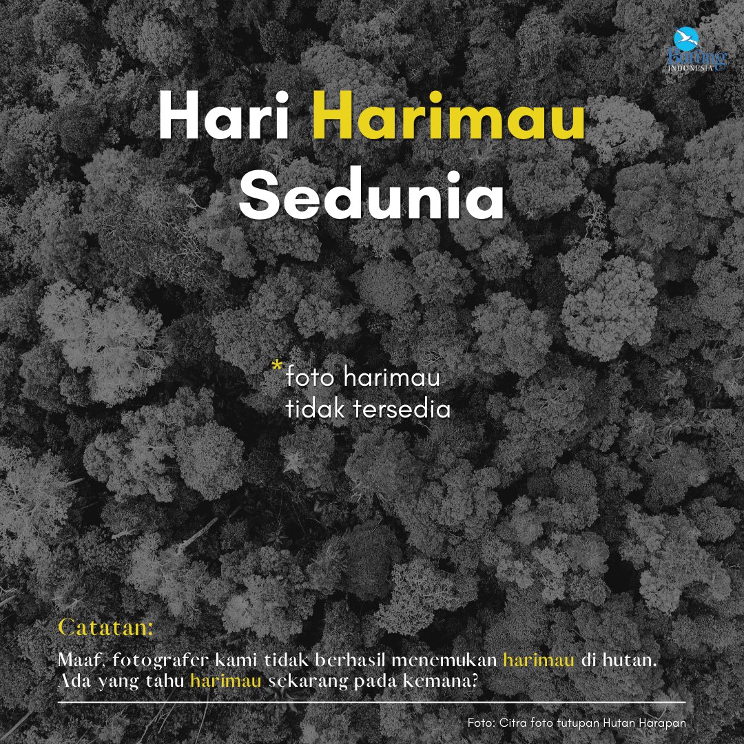 Kita sudah kehilangan mereka di Bali dan Jawa. Apakah kita juga akan kehilangan "Raja Rimba Terakhir" asal Sumatera? 

Selamat Hari Harimau Sedunia