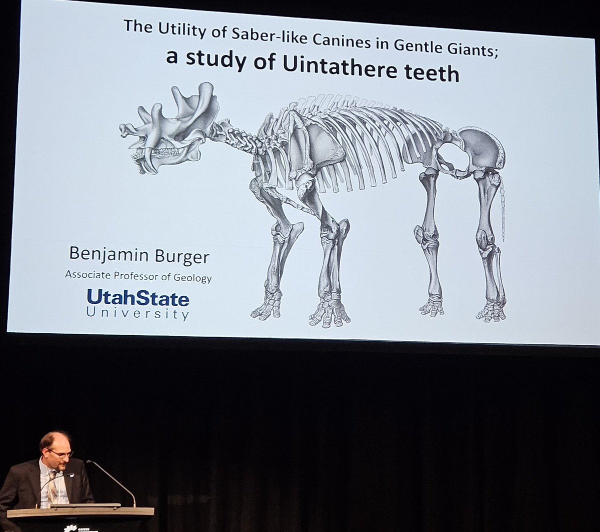 Benjamin Burger <a href="/USUAggies/">Utah State University</a> offers up some #herbivore #sabretooth love with a look at uintatheres! #ICVM2023