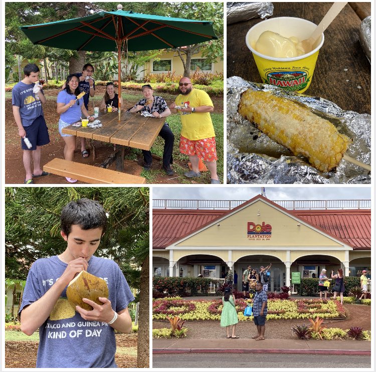 GuineaPigFund's tweet photo. The White Skirt Tiki Tribe stopped at the Dole Pineapple Plantation to have Pineapple Icecream and Roasted Corn on the cob. Spoils of completing the CHW Volcano Quest. #coinhuntworld #volcanoquest #TikiChief https://t.co/eSiik0zopH
