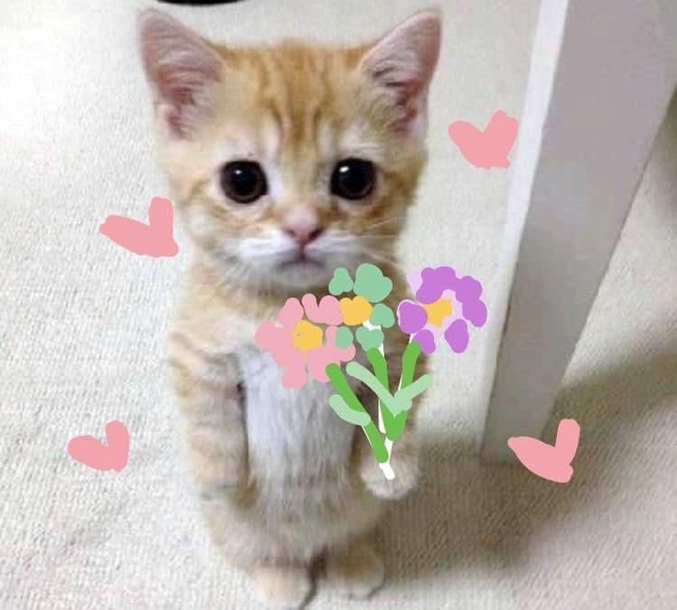 pimensip srikintil kesayangan <a href="/selirsrikandi/">𝐒𝐑𝐈𝐊𝐀𝐍𝐃𝐈</a> 🤍🦋