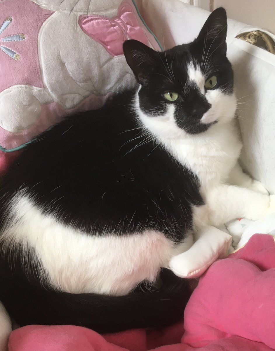 Dave-LUFC 🤍💛💙 tweet media