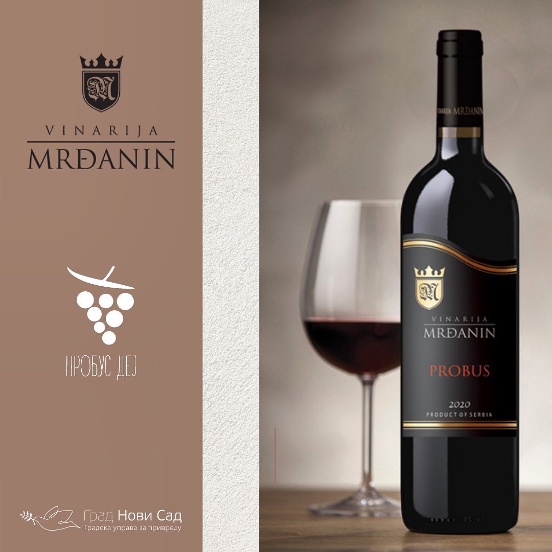 WinesofSerbia's tweet image. #ProbusDay2023 je bio veoma uspešan. Sve pohvale organizatorima! Nadamo se da će obeležavanje dana 'Princa sa Fruške gore' postati tradicionalno!
facebook.com/photo/?fbid=78…
#wine #Probus #Пробус #DanProbusa #ДанПробуса #ProbusDej #FruškaGora #Serbia #WinesofSerbia