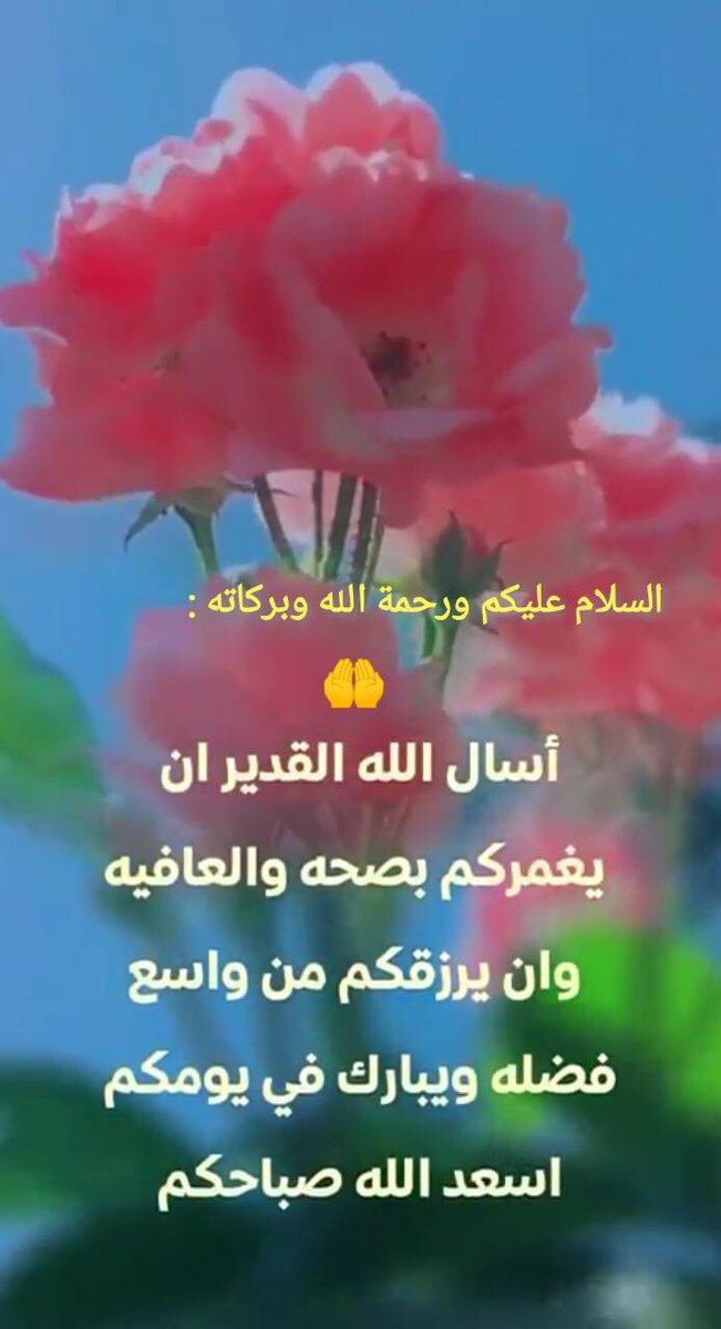 Mahmoodalmour1's tweet photo. اللهم بك أصبحنا، وعليك توكلنا 
فأحفظنا وأنت خير الحافظين، https://t.co/QRAH4rOJsT