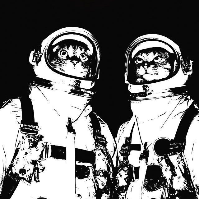 SpaceCat856's tweet photo. #NewProfilePic https://t.co/pj5iuCl11l
