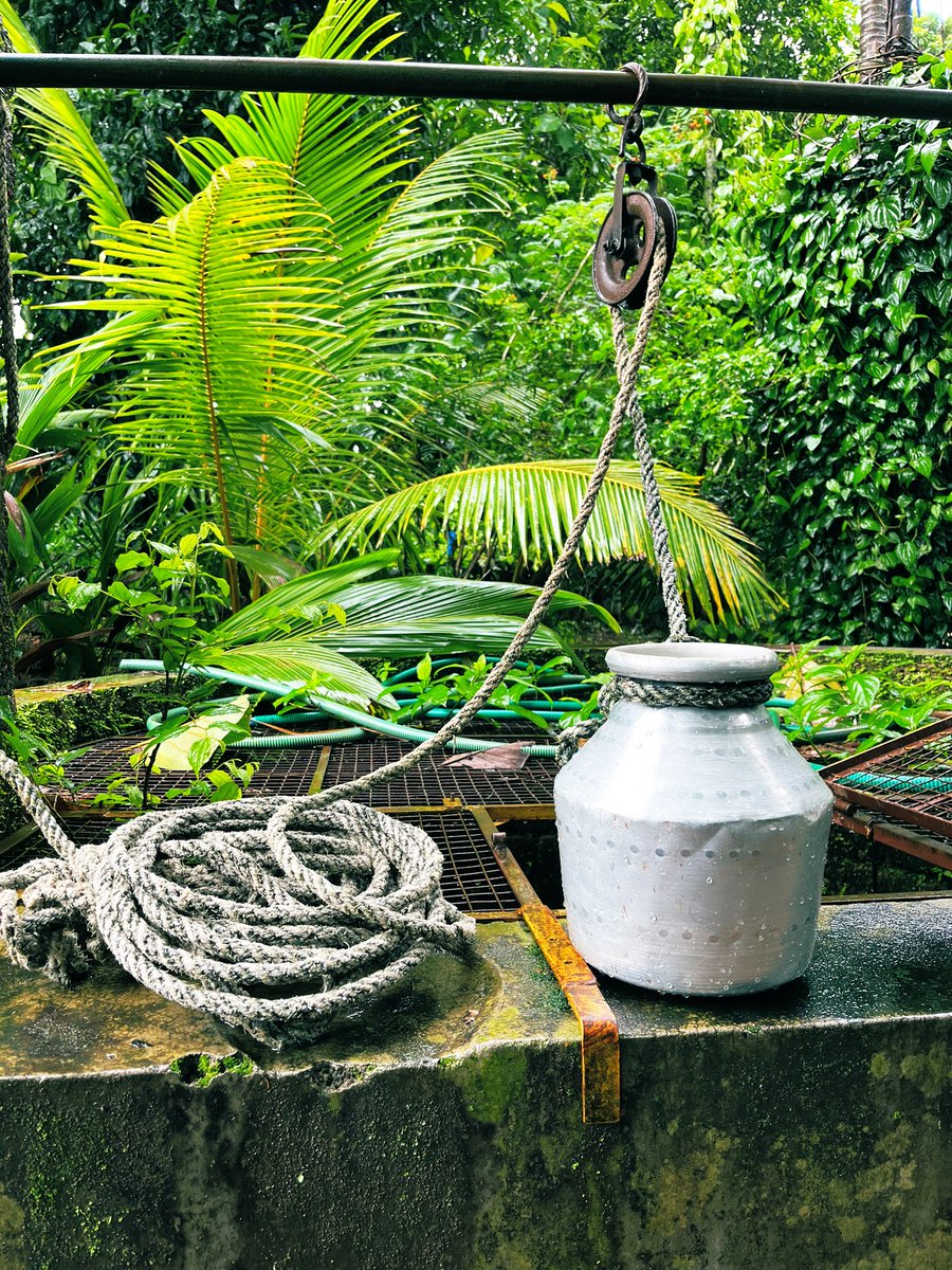 AndeDursu's tweet image. Tweet a random picture on your phone with no explanation..
#Tulunadu #Rain