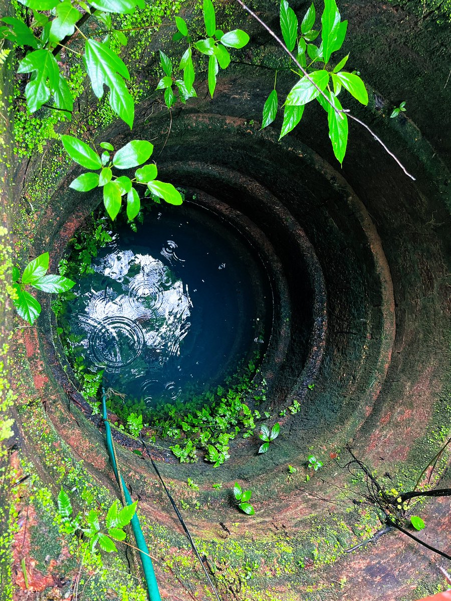 AndeDursu's tweet image. Tweet a random picture on your phone with no explanation..
#Tulunadu #Rain