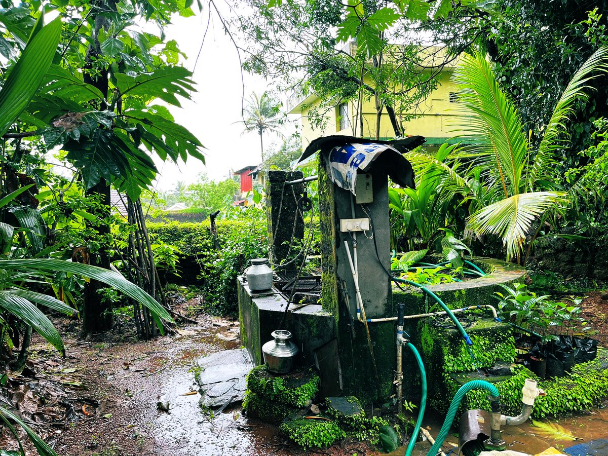 AndeDursu's tweet image. Tweet a random picture on your phone with no explanation..
#Tulunadu #Rain