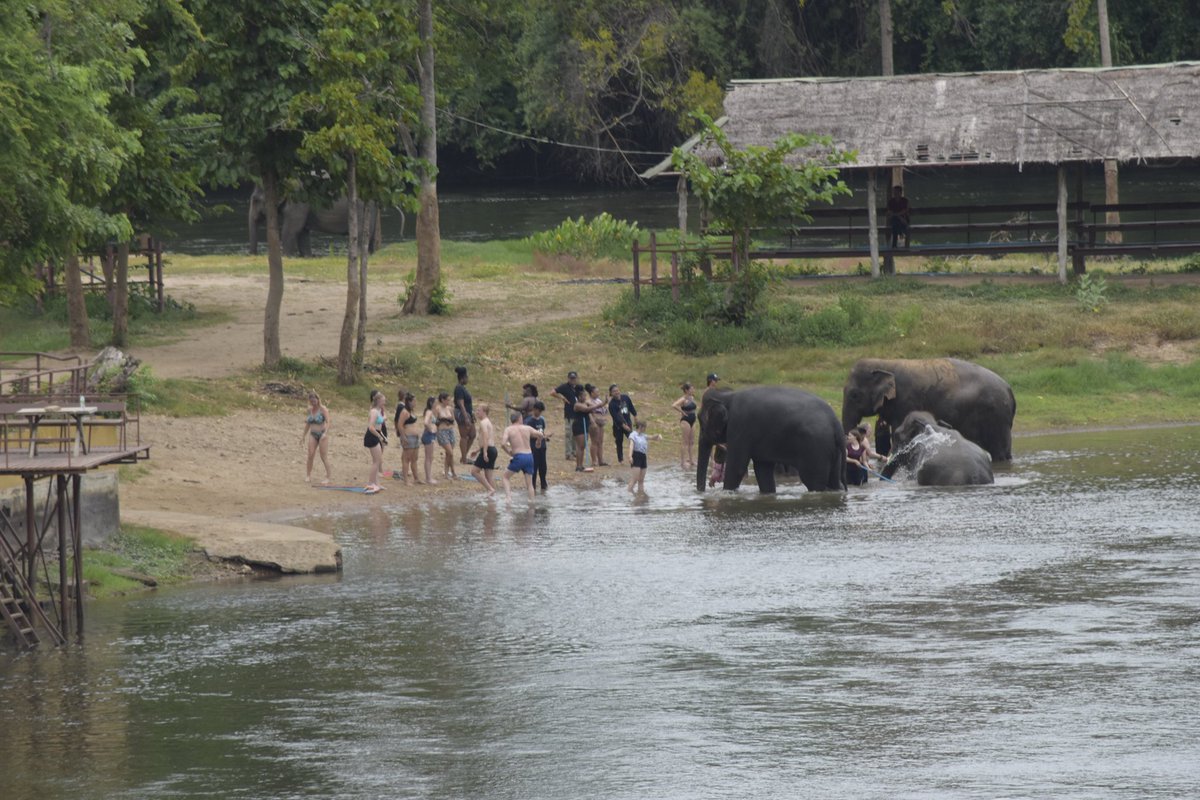 mrpkbkk's tweet photo. #elephant @ElephantsWorld1 
น่าสนุก https://t.co/rMewLvz7Ro