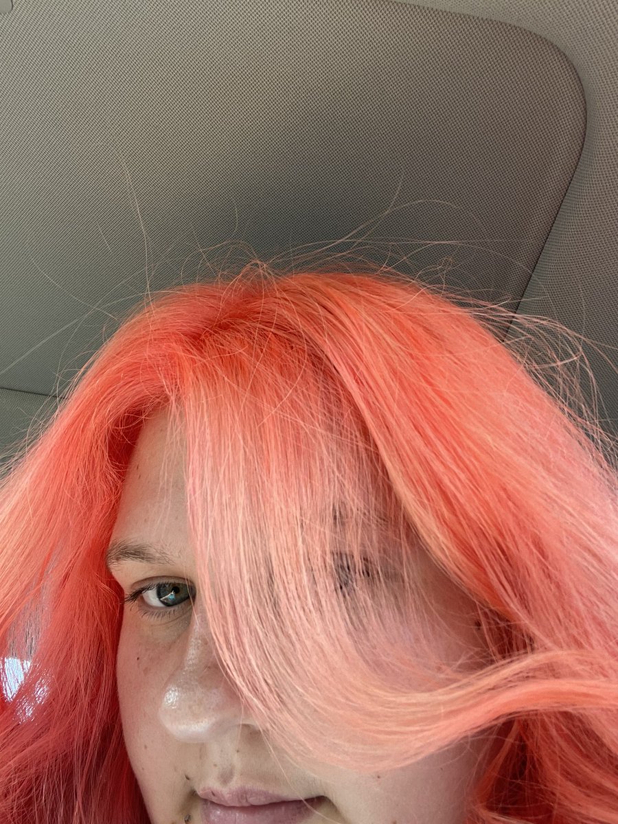 morgan 🤍she/her 🤍 tweet media