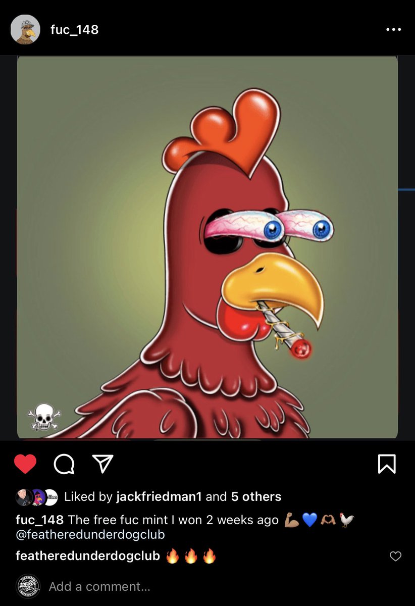 Feathered Underdog Club tweet media
