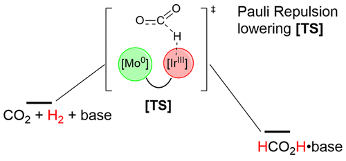 bhkenlo's tweet photo. Stronger Together! Mechanistic Investigation into Synergistic Effects during Homogeneous Carbon Dioxide Hydrogenation Using a Heterobimetallic Catalyst https://t.co/bxnEq30wju Hey-Hawkins and co-workers @InorgChem #iridium #chromium #molybdenum #tungsten #catalysis #CO2 #H2ation https://t.co/tzlZ2tBztZ