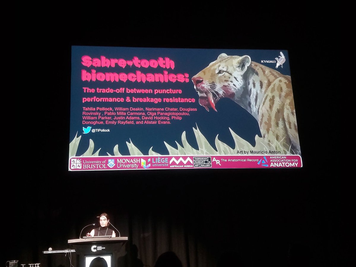 Narimane Chatar tweet media