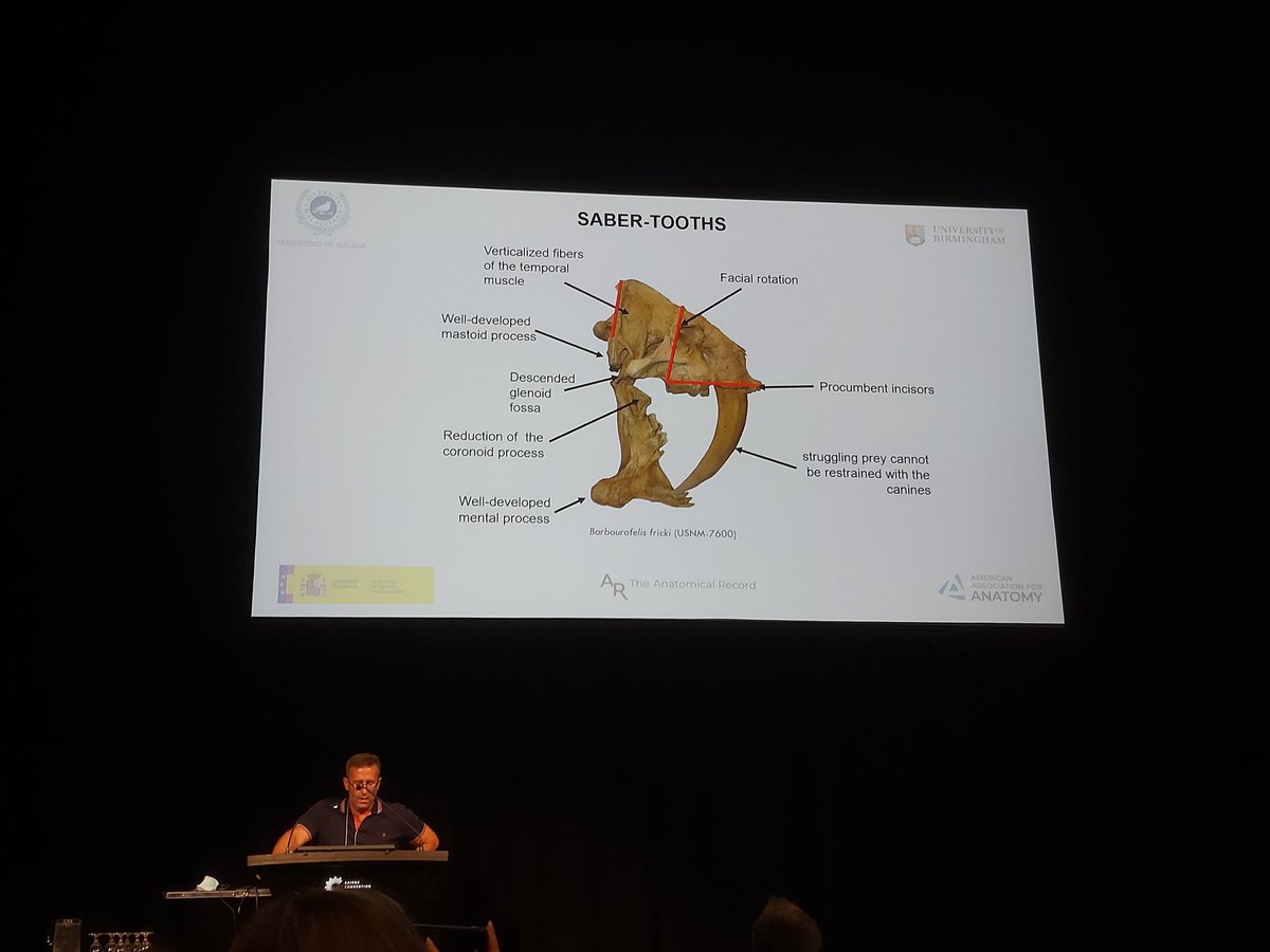 Narimane Chatar tweet media