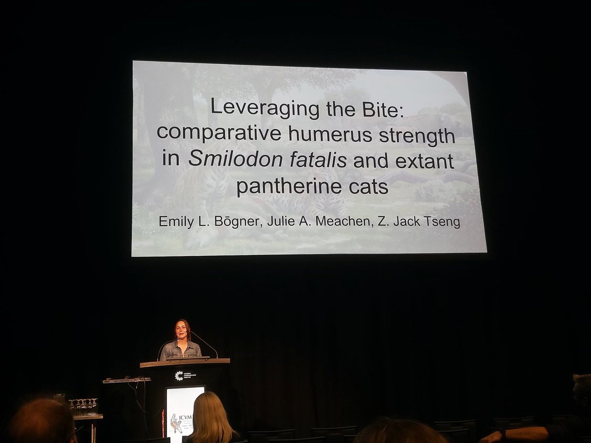 Narimane Chatar tweet media