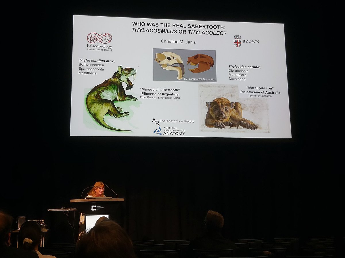 What an amazing day at the saberteeth symposium 😍🔪 thank you so much to the organizers <a href="/TIPollock/">Dr Tahlia Pollock</a>, <a href="/AdamHRose/">Adam Hartstone-Rose</a> &amp; Lars Werdelin for putting this together! What a lineup of amazing talks we had today