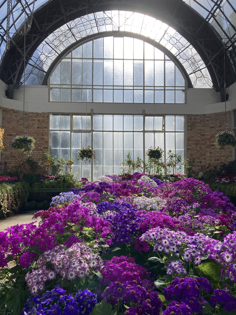 Celeste Sterling tweet media