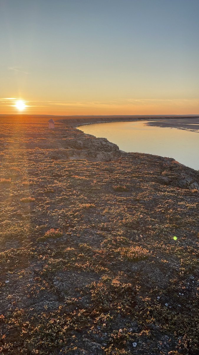 Midnight sun from our field camp on Somerset Island 💛