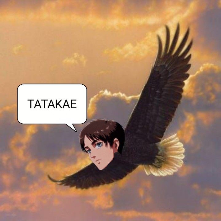 Sevant9's tweet photo. @KingOfLighting Today I see this Bird flying And saying tatakaeee https://t.co/84oZUJN4og