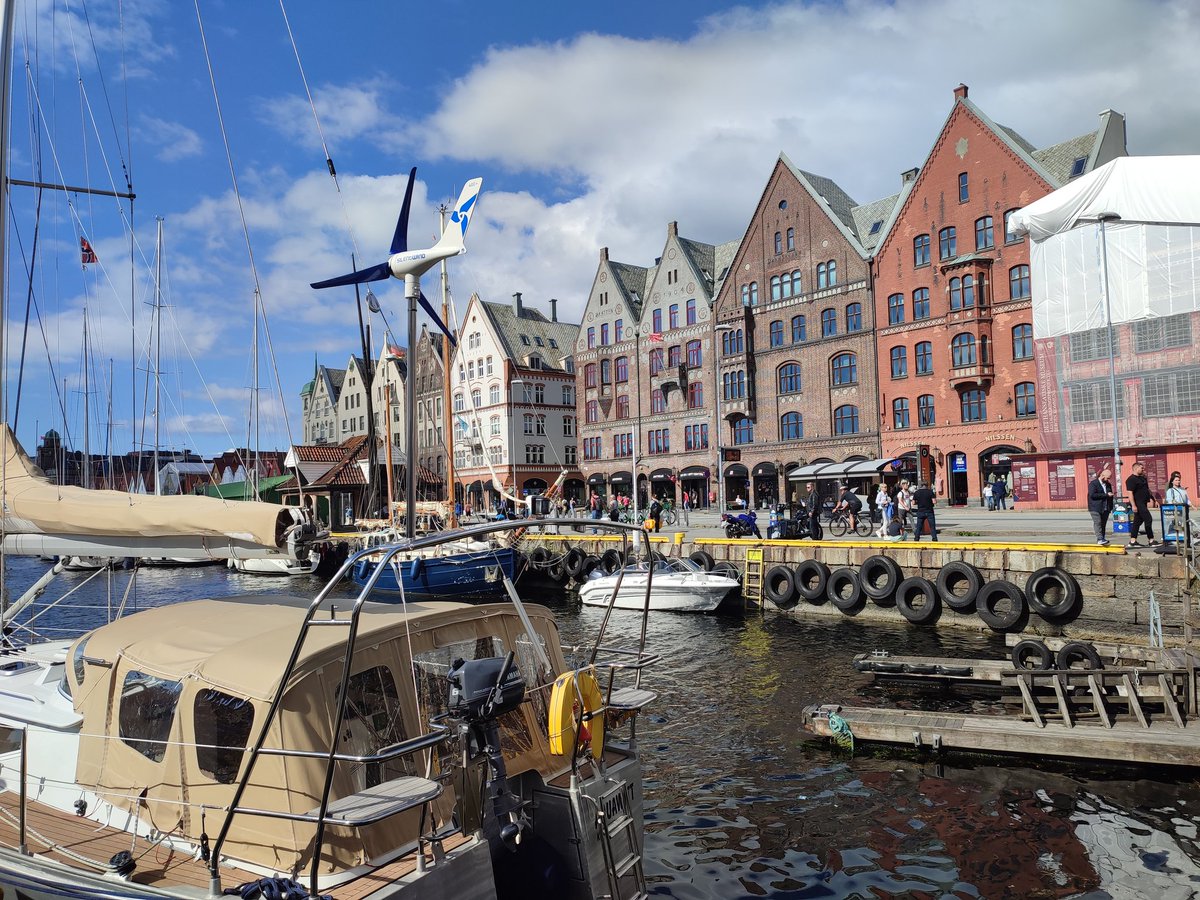 kaceykells  tweet media