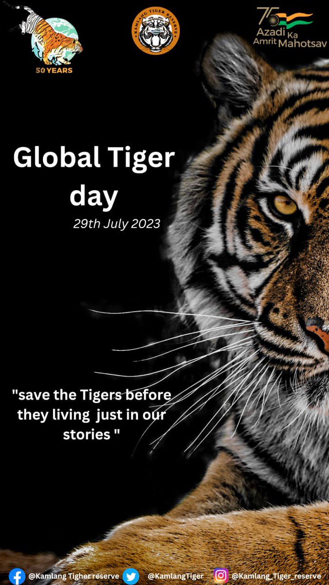 Kamlang Tiger Reserve extends wishes to all on #GlobalTigerDay 2023. A day dedicated to the majestic big cat for its protection and conservation in wild habitats 🐯