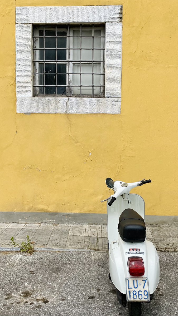 Alexandra Lawrence tweet media