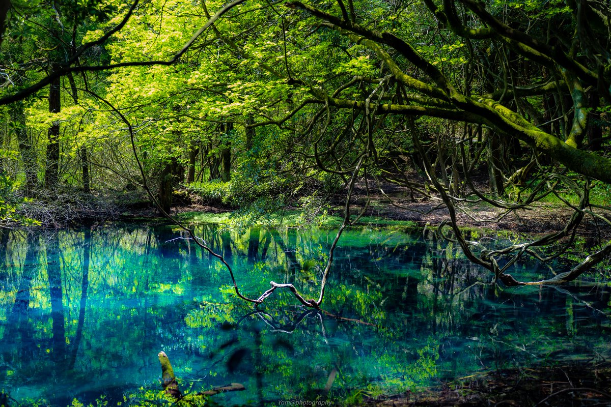 宝石のような池の美しさに息を呑む