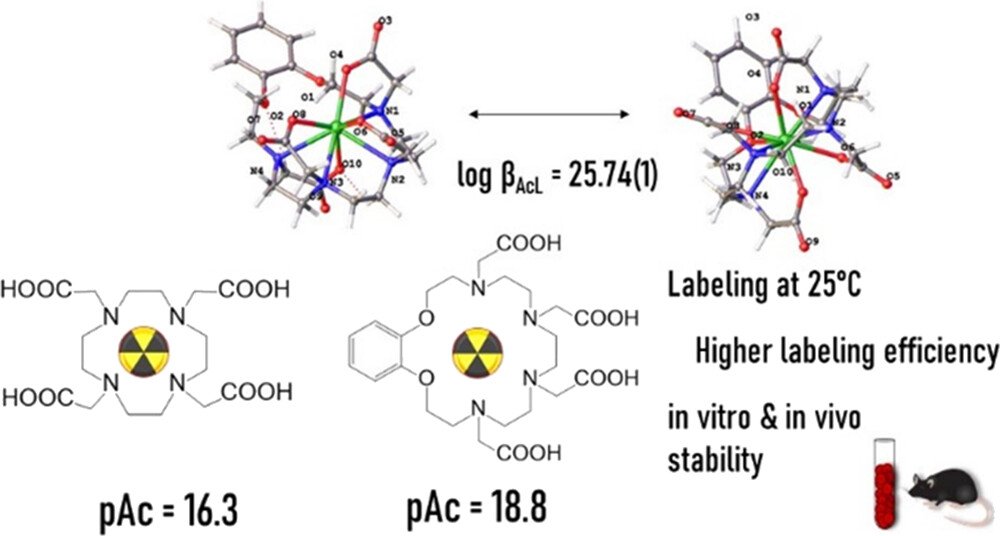 bhkenlo's tweet photo. Insights into Actinium Complexes with Tetraacetates─AcBATA versus AcDOTA: Thermodynamic, Structural, and Labeling Properties | Inorganic Chemistry https://t.co/6EasfKjPAP Egorova and co-workers @InorgChem #actinium #DOTA #BATA #DFT #radiolabeling #radiopharmaceuticals https://t.co/T2nV1mviOR