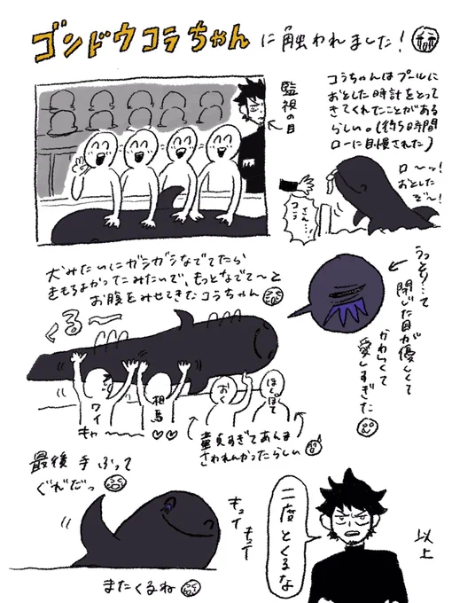 昨日の日記🐬♡ 