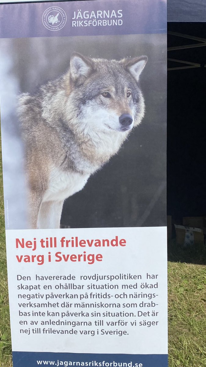 Vargen ett hot mot kalavverkning, skoteråkning och bärplockare?