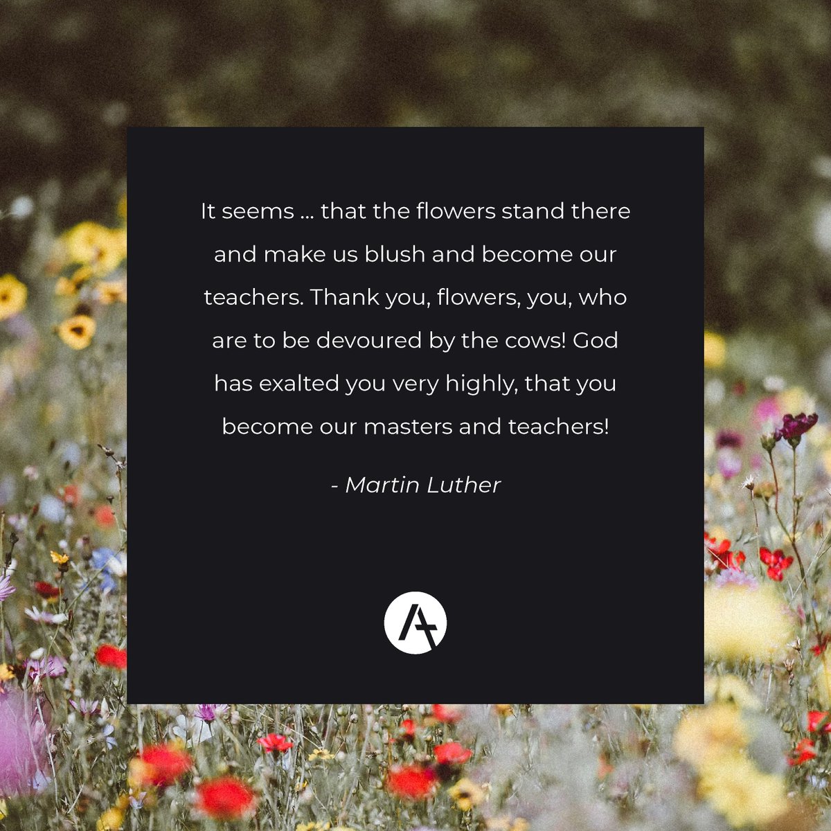 Acts 29 Asia Pacific tweet media