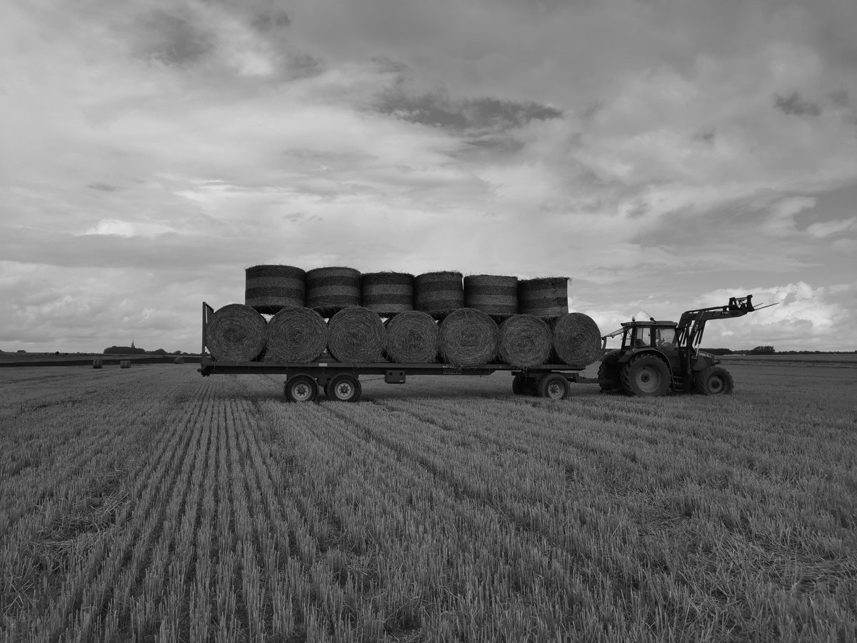 A_Beauc's tweet image. En attendant le retour du beau temps 🤷 on profite de rentrer les ballots qui avaient été pressés avant les 80 mm de pluie... 

@Fragritwittos @MF_EAME @chambagri_hdf @hautsdefrance @ArrasPaysArtois @GrandArras 
#FrAgTw #ceuxquifontlelait #FrAgMoisson2023 #moisson2023 #harvest23