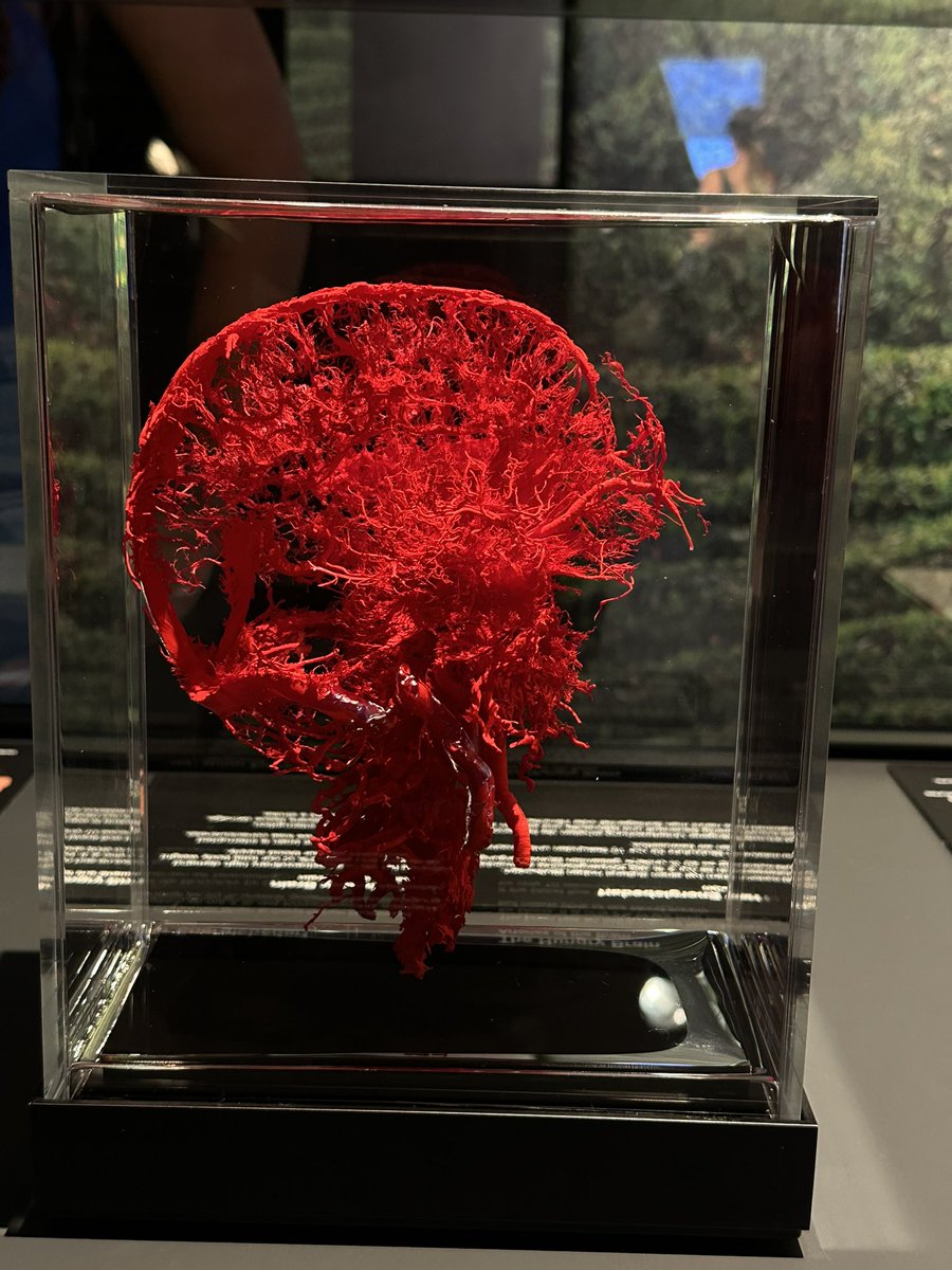 Humans are so interesting