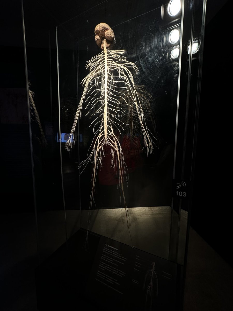 Hector Lopez tweet media