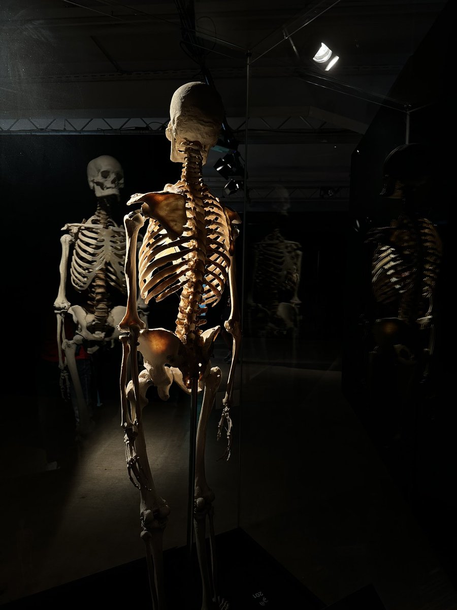 Hector Lopez tweet media