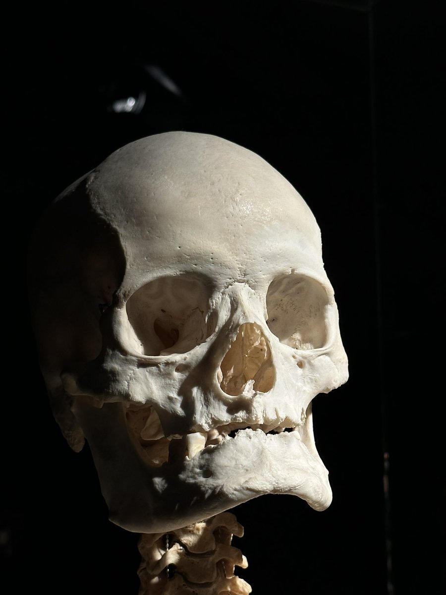 Hector Lopez tweet media