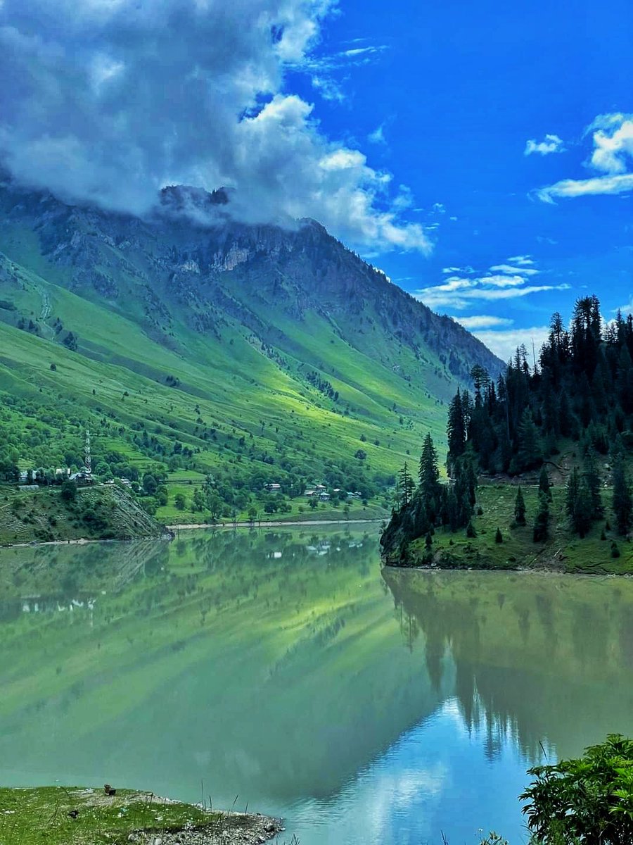 VacayNest's tweet photo. A Lost City Where Peace Dwells❤️
..
..
..
..
..
..
#GoGurez #gurezvalleykashmir #gurezvalley #traveladdict #nature #remoteareas #remotelife #peace #explore #backpacker #offbeatenpath #offbeatplace https://t.co/e0FvAnuvKE