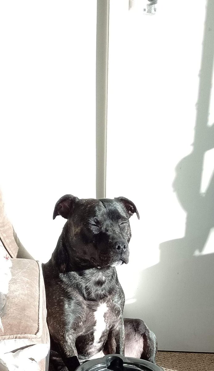 Tonisha Drew  tweet media