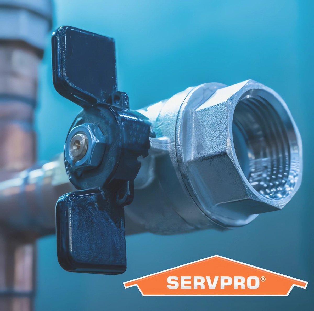 Did you know that the majority of water damage costs and incidents are largely preventable? Approximately 93% of the costs due to water damage could be prevented by having a water leak detection system! If a leak is detected, the water flow is cut, preventing further damage!