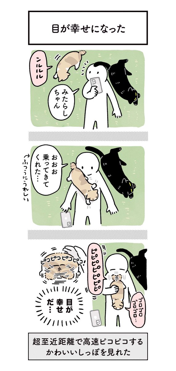 幸せを呼ぶ短しっぽの絵日記です #ろんの絵日記