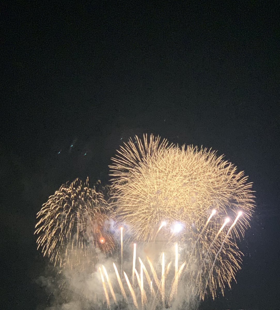 mayodoriru's tweet photo. 見物！夏の風物詩！ https://t.co/4u7h9nxnfB