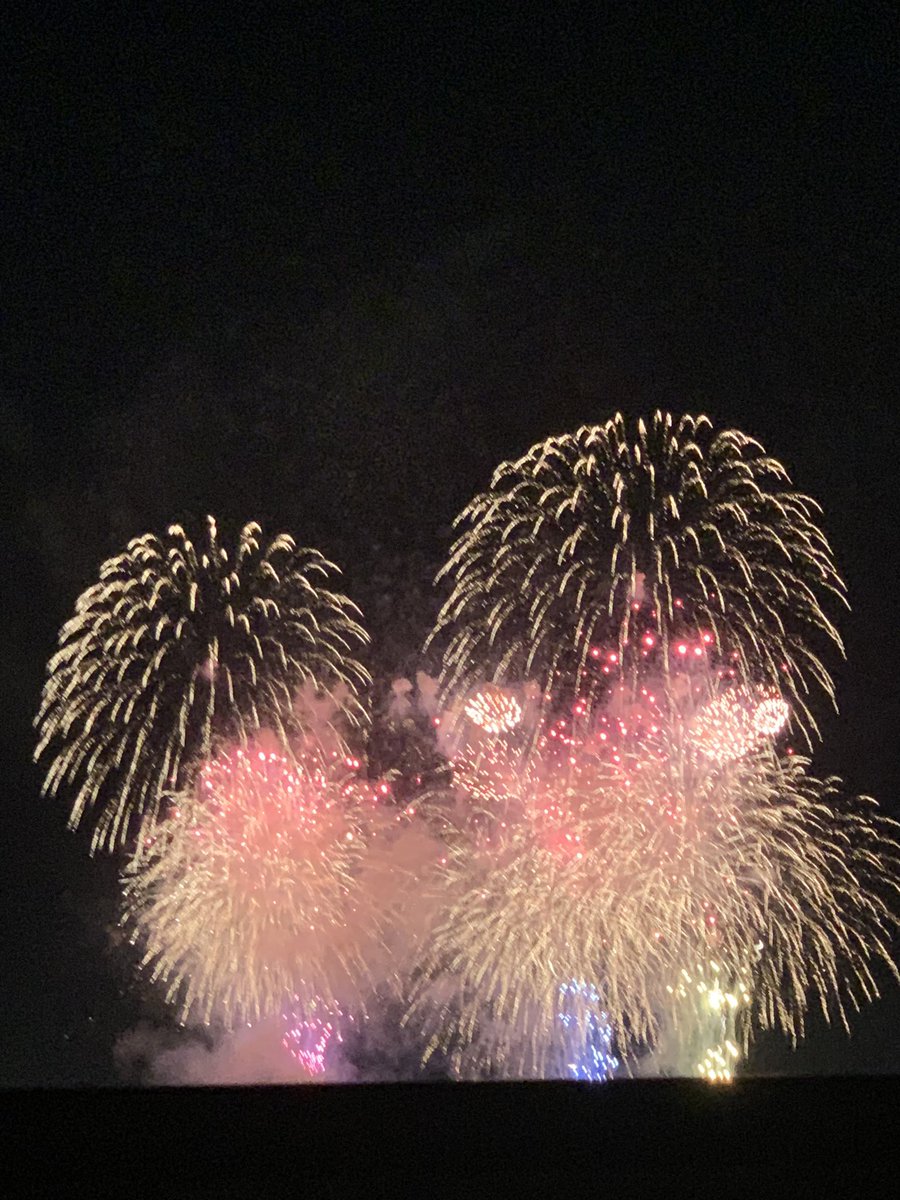 mayodoriru's tweet photo. 見物！夏の風物詩！ https://t.co/4u7h9nxnfB