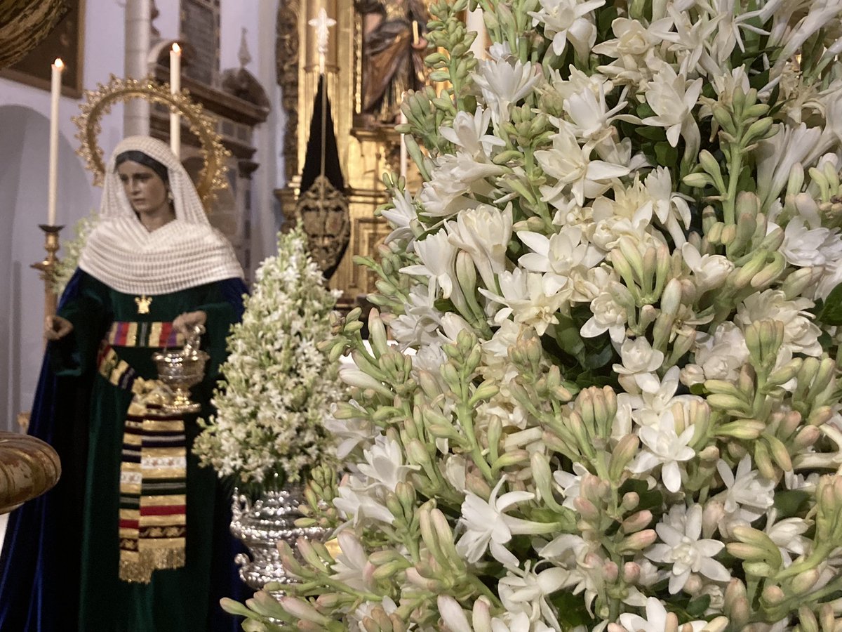 JaviGrado's tweet photo. San Andrés se inunda de nardos para #SantaMarta de la @hdadsantamarta en su #SantaMarta75AñoJubilar. https://t.co/65HPu8Yumy