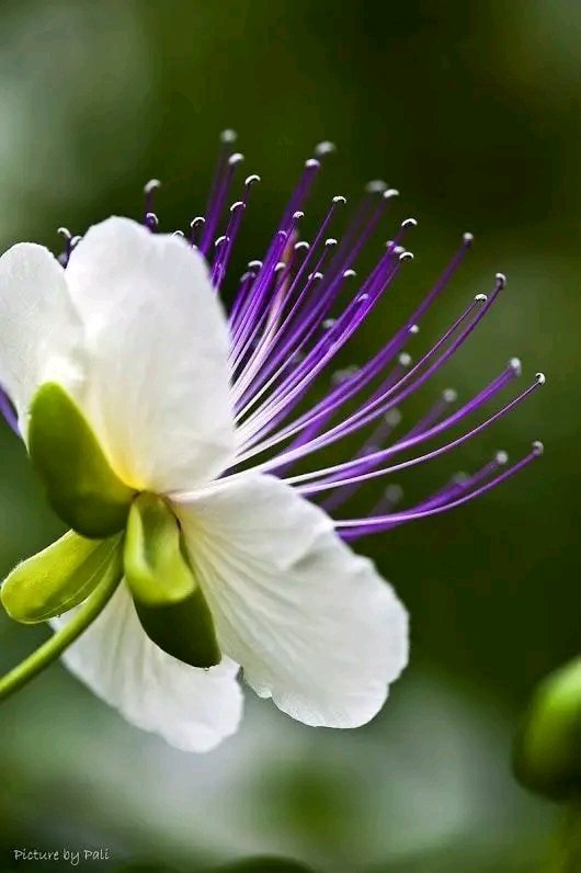 Gabriela Ebel tweet media