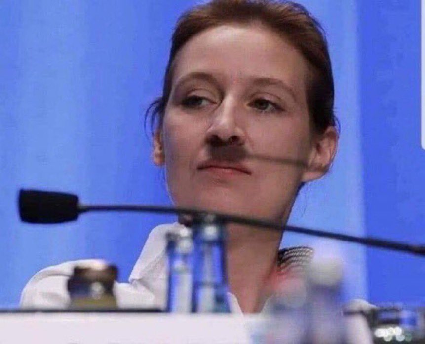 Die AfD ist ein faschistischer Drecksverein❗ #Weidel