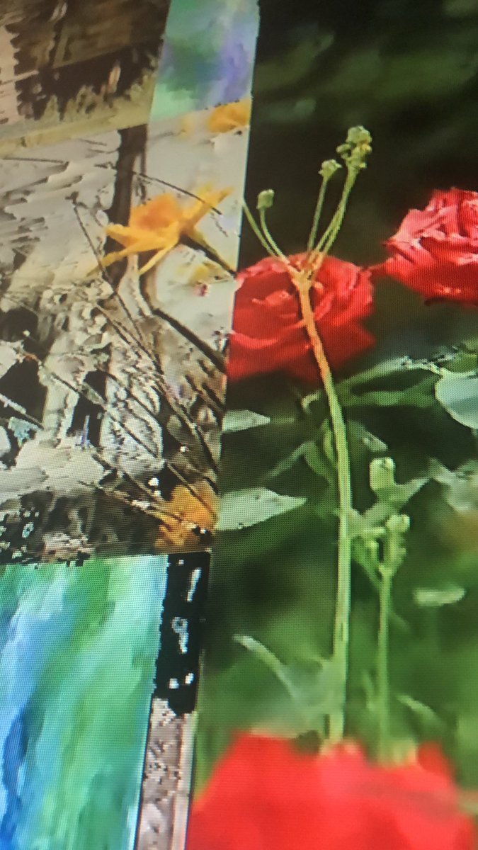 SpiceVisuals's tweet image. workin photo