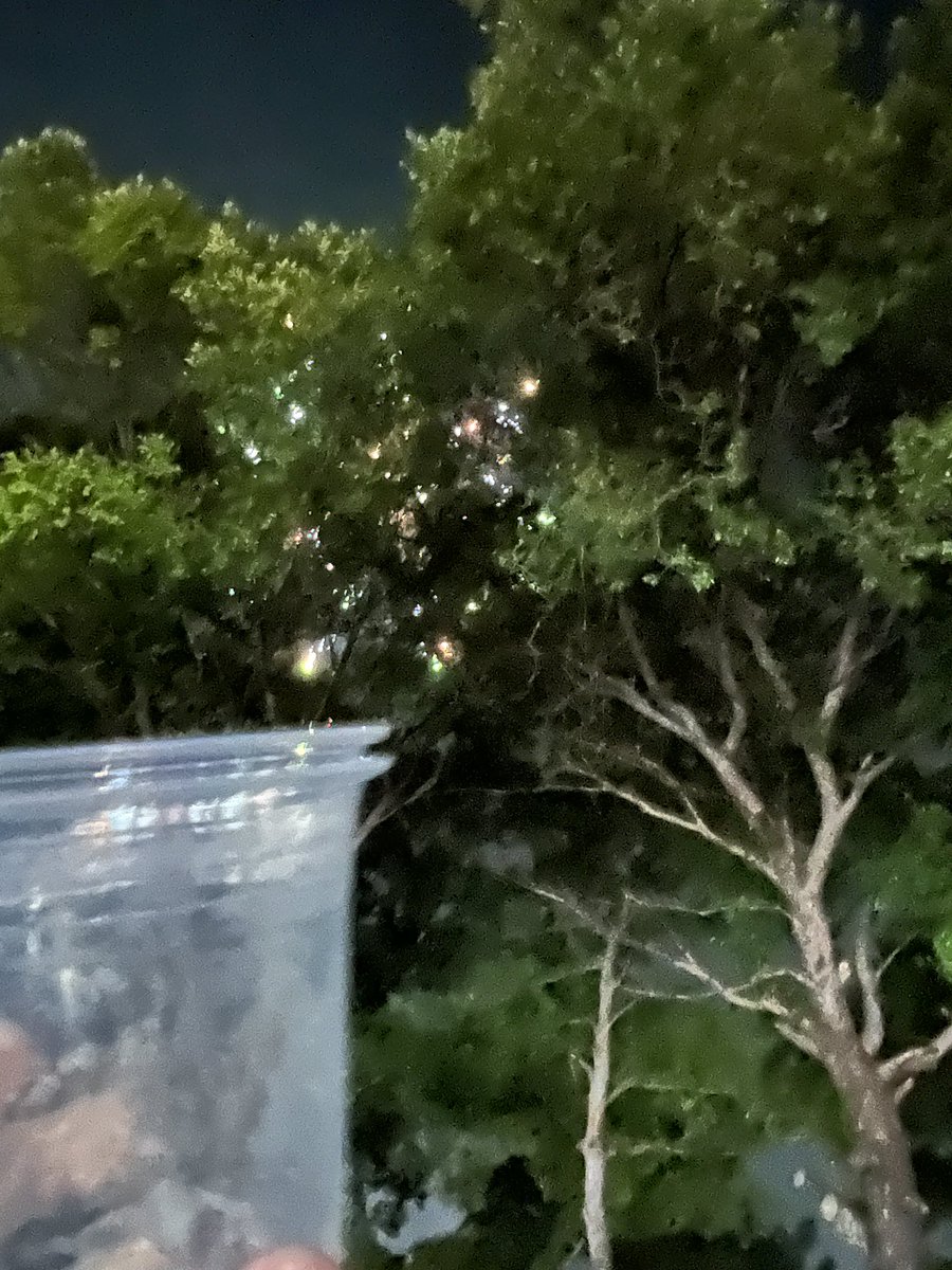 YISTUS's tweet photo. からあげ棒の列進まなすぎて、買う前に2杯飲み切ってしまった
あと、木が邪魔で全然見えない
これはビッグモーターするしかないかも https://t.co/FdoRfI4Dmd