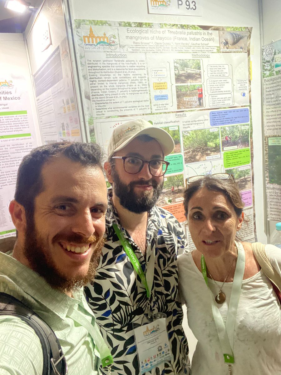 RemiBrss's tweet photo. MMM6: it's a wrap, a pleasant and enriching week in the pretty city of Cartagena. Many thanks to the organizers. Long live the mangroves! See you in Japan ! 🐚🦀 #MMM6 https://t.co/WGmudcCN20
