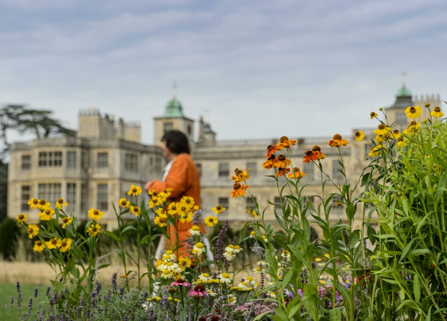 50connect tweet media